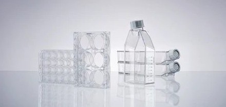 Productos De Cultivo Específicos Para Células Madre Eppendorf