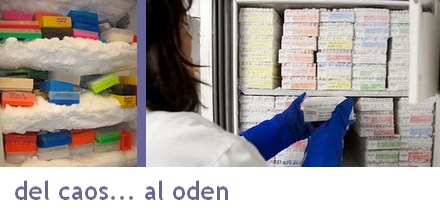 ¿Uso de forma segura mi equipo de almacenamiento en frío