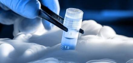 Criopreservación: La necesidad de llegar por debajo de los -130ºC