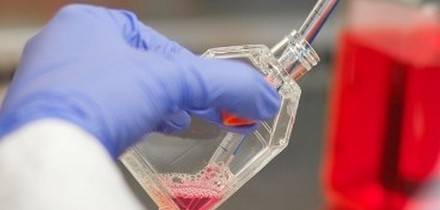 Incubación de células: ¿Está implementando técnicas de desinfección adecuadas?